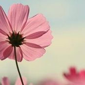Jamie Lin's photo