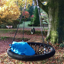 TreeHaus