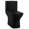 Carre 1-Piece Square Toilet Dual-Flush, Matte Black 1.1/1.6 gpf
