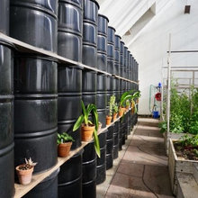 Greenhouse