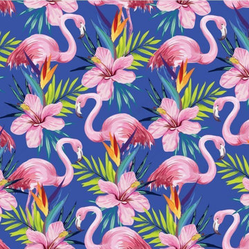 Wallpaper application project Sri Lanka