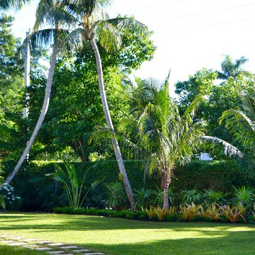 Coconut Grove Project
