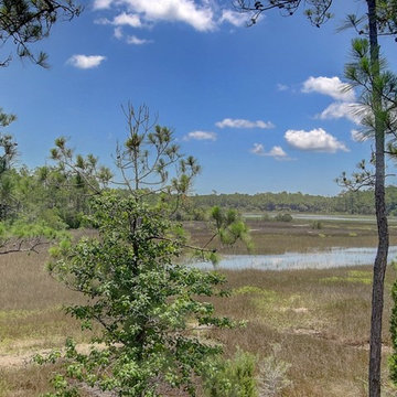 561 Little Barley Lane