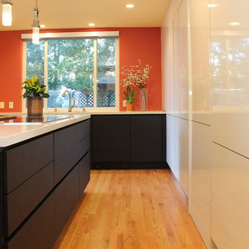 Cupertino kitchen in carbon oak and gloss white cabinets