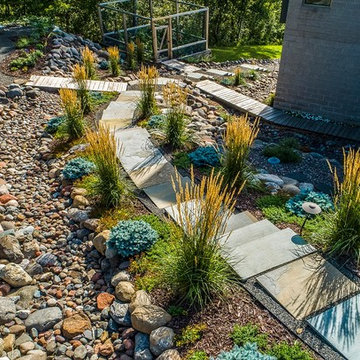 Modern Path and Plants