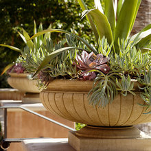 Planters