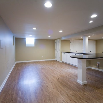 Berwyn New Basement for Young Family