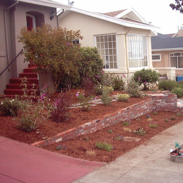 New Drip System, Planting and Mulch in San Francisco