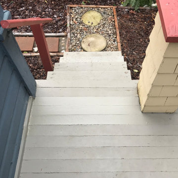 Dry Rot Repair