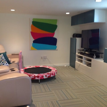 Brookline playroom/media room