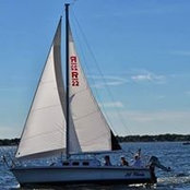 Judith Gorman's photo