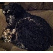 Jamie Richmond Furrow's photo