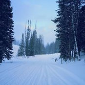 Janeta Siwa's photo
