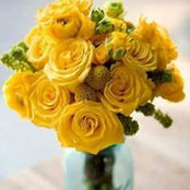Roxanne Massingill's photo