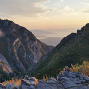 Shawn Moore's photo