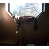 Aimee De Laurentiis's photo
