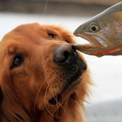 Chris Hildman's photo