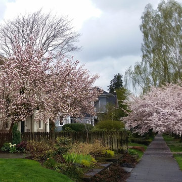 A garden for all seasons