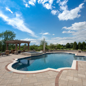 Elgin, IL Roman End Pool with Freeform Hot Tub