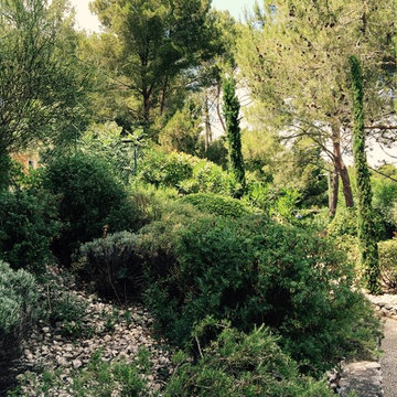 Rencontres au jardin