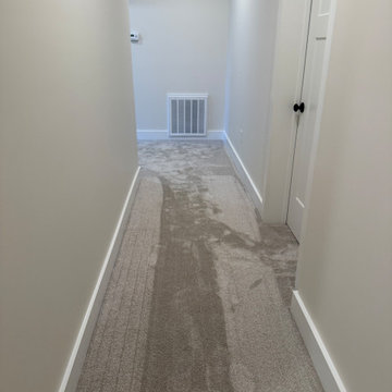 Water / Mold Restoration Project