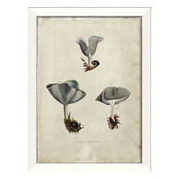 The Artwork Factory - Mushroom I Framed Artwork - Prints And Posters