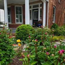 Walkway Ideas