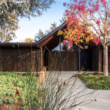 Parsons Eichler