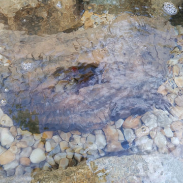 Ponds and Streams