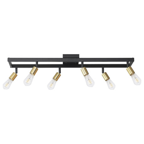 36" 6-Light Matte Black Track Lighting with Matte Brass Pivoting Track Heads