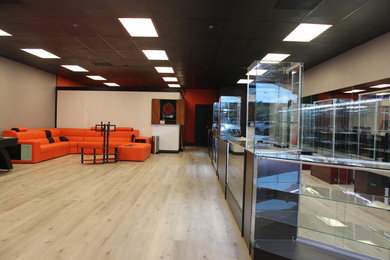 Large minimalist open concept vinyl floor living room photo in Las Vegas
