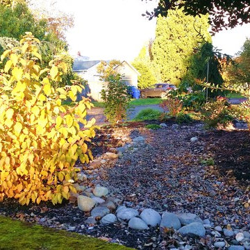 Woodstock Craftsman Cottage Rain Garden
