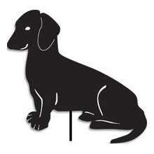 Dogs