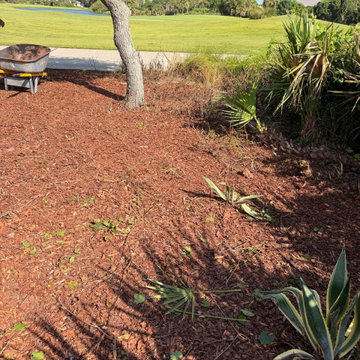 Large Landscape Transformation