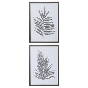 Silver Ferns Framed Prints, Set of 2