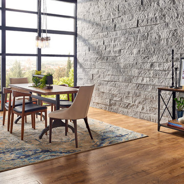 Mid Century Dining Room With Textured Accent Wall