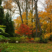 Houzz Fall Photos