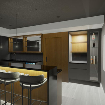 Basement Renovation