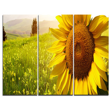"Yellow Field With Big Sunflower" Art Canvas Print, 3 Panels, 36"x28"