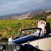 Penelope Lewin's photo