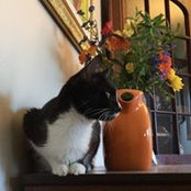 Deborah Balsbaugh's photo