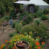 Marlene Zeigler's photo