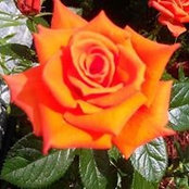 Foto de Doris Nolin
