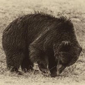 Gary Zundel's photo