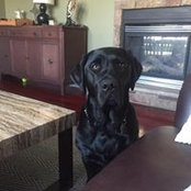 Angela McCartney's photo