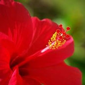 Eve Seirdna's photo