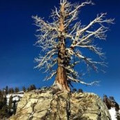 Sandra Byrne's photo