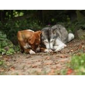 Jason Walker's photo