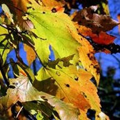 Erin Webb's photo