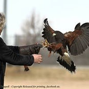 Foto von Vix French